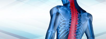 Spinal Injury Rehabilitation Services