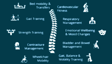 Spinal Cord care