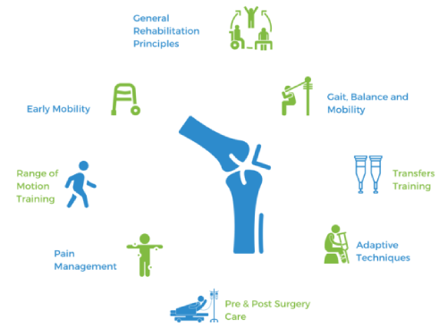 Total Knee & Hip Replacement