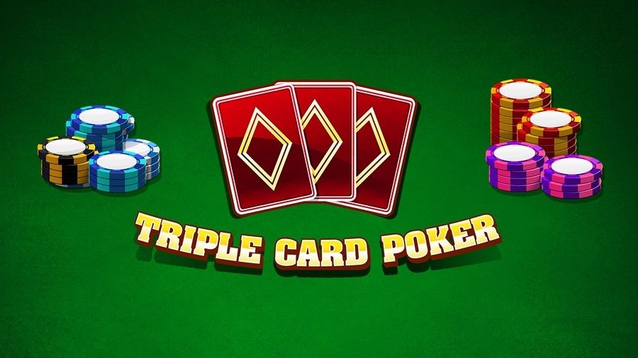 Tortuga Casino casino licencié France